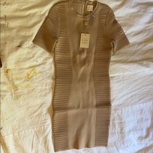 Torn by Ronny Kobo knit dress